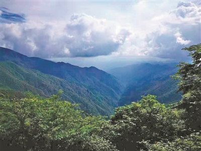 携程推出3天陪娃假，让家庭时光更温馨