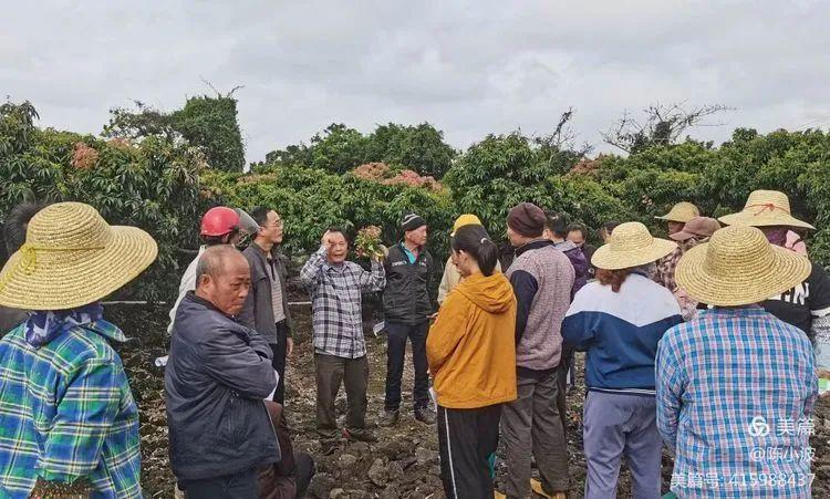 永兴村委会最新项目，乡村振兴的崭新篇章