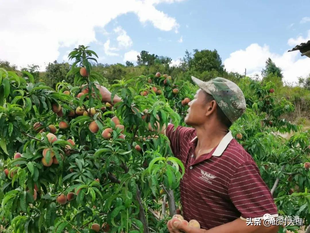 南华县水利局最新新闻