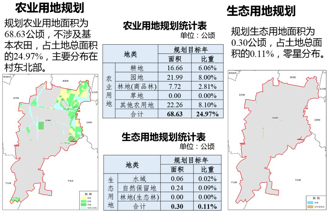 洛马村最新发展规划