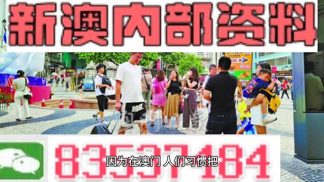 2024新澳精准资料免费提供网站091期39-45-42-21-13-34T：13