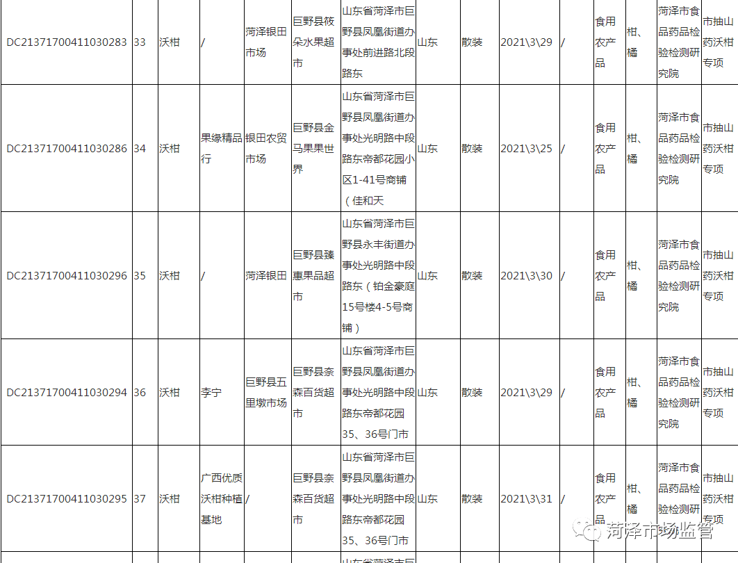 上海市招商促进局最新招聘信息概览