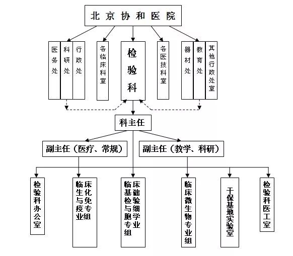 清城区应急管理局最新项目，构建现代化应急救援体系