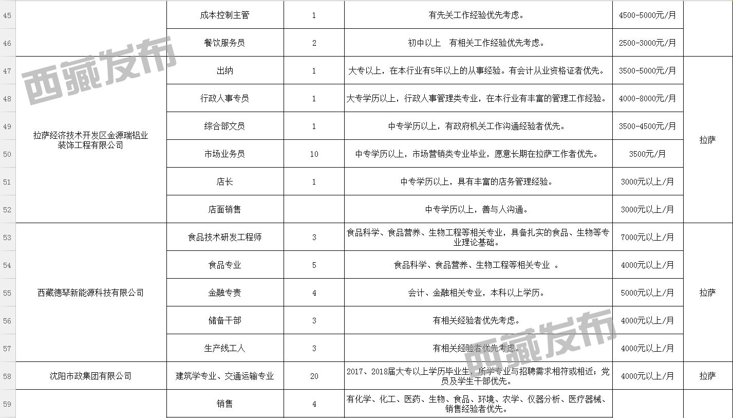 墨竹工卡县数据和政务服务局最新招聘信息详解